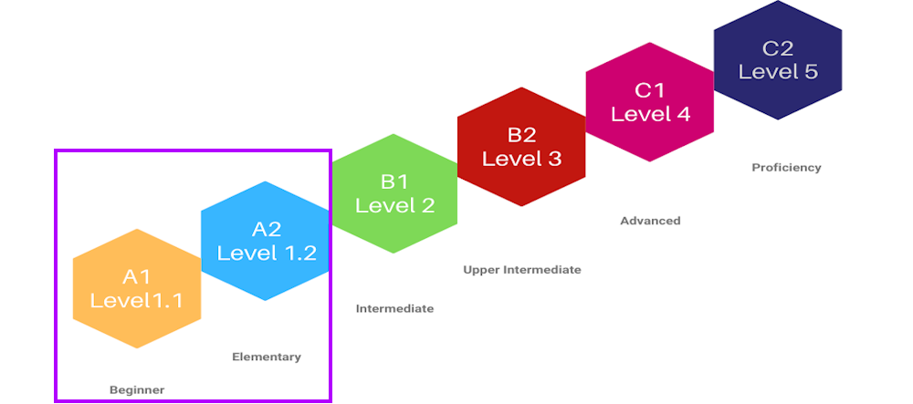 NYLC A1-A2